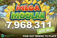 A player won jackpot €7,968,311.26 playing the slot machine Mega Moolah