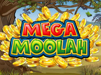 A lucky player won a Microgaming progressive jackpot on a videoslot Mega Moolah