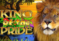 King of the Pride is the newest slot machine at Casumo Casino