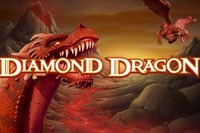 Lucky players won big at a slot machine Diamond Dragon at Bovada Casino