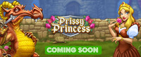 Play‘N Go introduces a new slot machine Prissy Princess